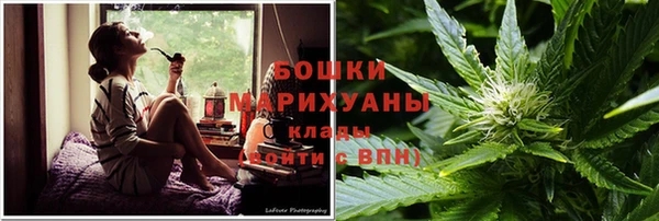 PSILOCYBIN Белокуриха